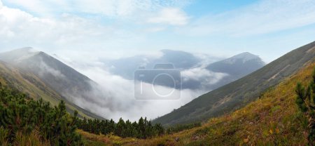 Foto de Misty Cárpatos Montañas (Ucrania) paisaje (con aves lejanas en el cielo). - Imagen libre de derechos