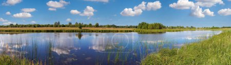 Téléchargez les photos : Été rushy vue panoramique du lac avec des reflets de nuages
. - en image libre de droit