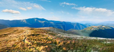 Foto de Verano mañana paisaje de montaña con bosque verde en la pendiente (Ucrania, Cárpatos Montañas). - Imagen libre de derechos