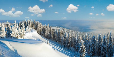 Photo for Winter rime and snow covered hill top with fir trees and  snowdrifts (Carpathian Mountains, Ukraine). - Royalty Free Image