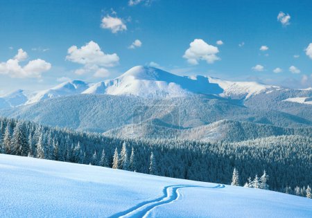 Téléchargez les photos : Matin hiver calme paysage de montagne avec piste de ski et forêt de conifères sur la pente (vue Goverla - la plus haute montagne dans les Carpates ukrainiennes). - en image libre de droit