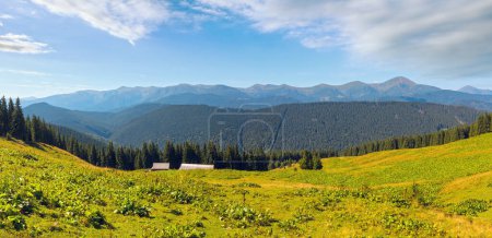 Téléchargez les photos : Vue sur la crête montagneuse du Chornohora d'été depuis le plateau du Vesnjarka (Carpates, Ukraine
). - en image libre de droit
