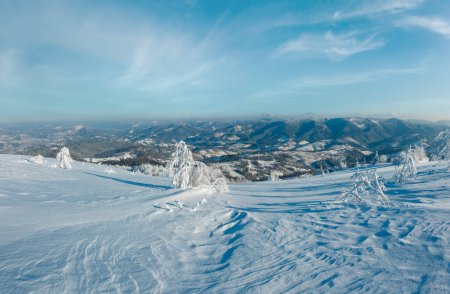 Téléchargez les photos : Matin hiver calme paysage de montagne panorama avec de beaux arbres verglaçants et des dérives de neige sur la pente (Carpates, Ukraine
) - en image libre de droit
