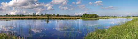 Téléchargez les photos : Été rushy vue panoramique du lac avec des reflets de nuages, Ukraine. - en image libre de droit