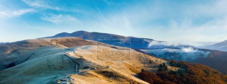 Foto de Mañana Montañas Cárpatos (Ucrania) paisaje otoñal con carretera de campo
. - Imagen libre de derechos