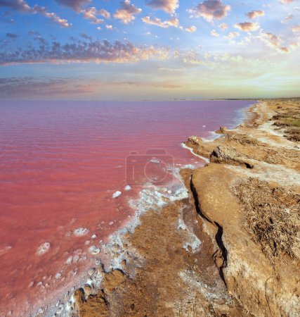 Téléchargez les photos : Lac Syvash rose extrêmement salé, coloré par des microalgues avec des dépôts de sel cristallin. Aussi connu sous le nom de Mer Putride ou Mer pourrie. Ukraine, région de Kherson, près de la Crimée et de la flèche Arabat
. - en image libre de droit