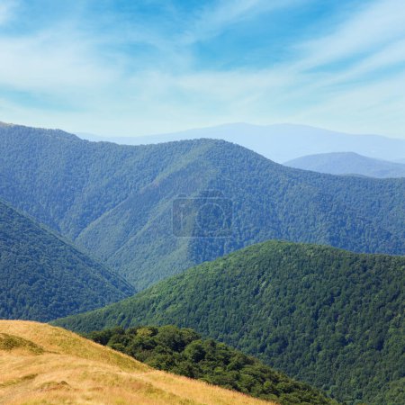 Photo for Summer misty mountain landscape with green forest on slope (Ukraine, Carpathian Mountains) - Royalty Free Image