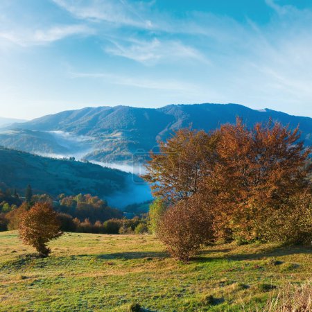 Téléchargez les photos : Automne matin brumeux colline de montagne (Carpates, Ukraine). - en image libre de droit