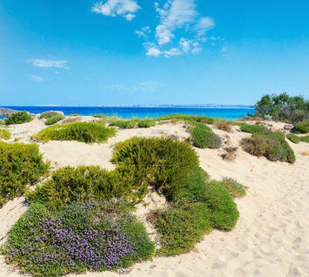Foto de Pintoresca playa del mar Jónico Punta della Suina, Salento, Puglia, Italia. Gallipoli vista de la ciudad en gran medida
. - Imagen libre de derechos