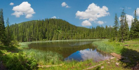 Photo for Summer mountain lake Marichejka and fir forest with blue sky reflection in (Ukraine, Chornogora Ridge, Carpathian Mountains). - Royalty Free Image