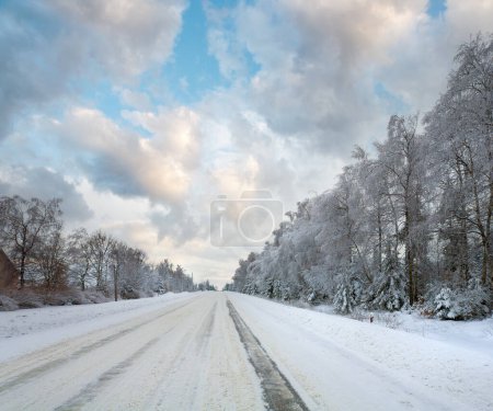 Téléchargez les photos : Paysage hivernal terne avec route couverte de glace et arbres au bord de la route - en image libre de droit