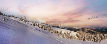 Foto de Invierno tranquilo paisaje de montaña con bosque de abeto y cobertizos grupo en la pendiente (montañas de los Cárpatos, Ucrania
). - Imagen libre de derechos