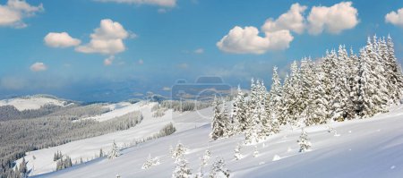 Téléchargez les photos : Morning winter calm mountain landscape with fir forest and sheds group on slope (Carpathian Mountains, Ukraine). - en image libre de droit