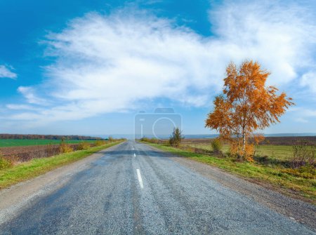Foto de Otoño carretera secundaria país y abedul amarillo en el lado - Imagen libre de derechos