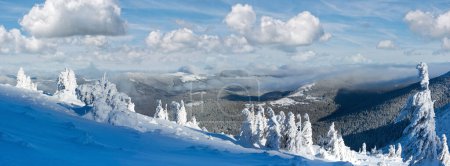 Foto de Invierno panorama de montaña con árboles nevados en la pendiente en frente (Cárpatos, Ucrania
) - Imagen libre de derechos