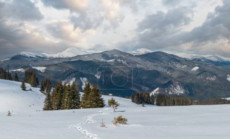 Photo for Picturesque winter mountain view from alpine path with footprint. Skupova mountain slope, Ukraine, view to Chornohora ridge and Pip Ivan mountain top with observatory building, Carpathian. - Royalty Free Image
