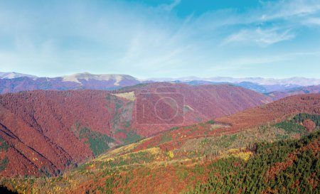 Foto de Coloridas laderas de montaña en otoño Cárpatos. Mañana nublado panorama
. - Imagen libre de derechos