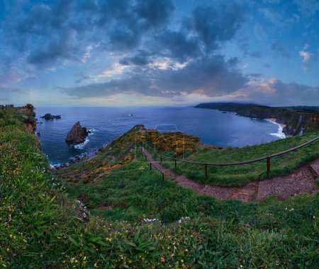 Téléchargez les photos : Evening Costa de Loiba landscape with flowers and footpath to beach (Asturias, Spain). - en image libre de droit