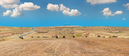 Téléchargez les photos : Beau paysage de campagne d'été en Sicile en Italie
. - en image libre de droit