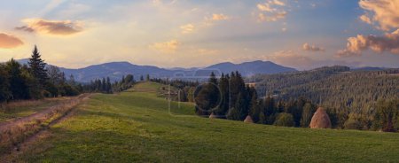 Photo for Summer mountainous green meadow with stackes of hay (Slavske village, Carpathian Mts, Ukraine). - Royalty Free Image