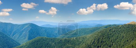 Téléchargez les photos : Paysage panoramique de forêt de montagne brumeux d'été (Ukraine, montagnes des Carpates
). - en image libre de droit