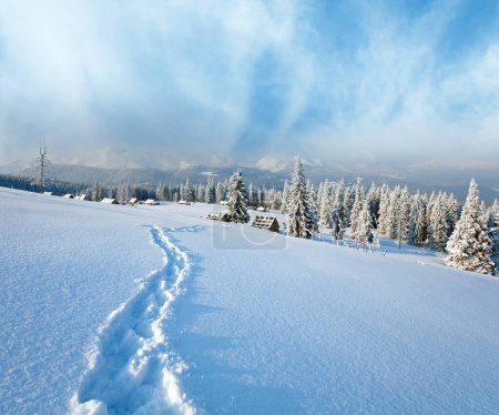 Téléchargez les photos : Paysage de montagne calme d'hiver avec groupe de hangars et crête de montagne derrière (Mont Kukol, Carpates, Ukraine
) - en image libre de droit