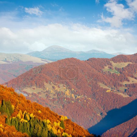 Téléchargez les photos : Forêt colorée sur la pente en automne brumeuse montagne des Carpates
. - en image libre de droit