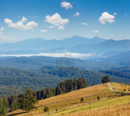 Téléchargez les photos : Vue estivale sur la montagne (Carpates, Kryvopillja, district de Verkhovyna, région d'Ivano-Frankivsk, Ukraine
). - en image libre de droit