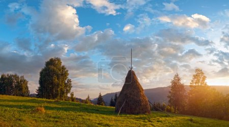 Photo for Sunset on summer mountainous green meadow with stack of hay (Slavske village, Carpathian Mts, Ukraine). - Royalty Free Image