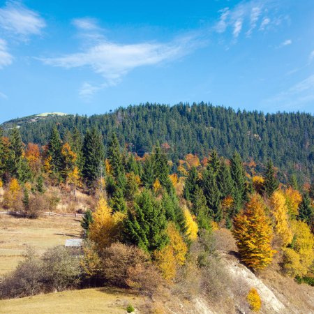 Téléchargez les photos : Forêt de montagne ensoleillée d'automne (à flanc de montagne)
) - en image libre de droit