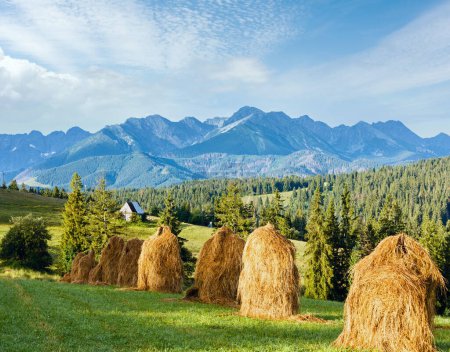Téléchargez les photos : Village de montagne d'été en périphérie avec des meules de foin et la chaîne de Tatra derrière (Pologne
) - en image libre de droit