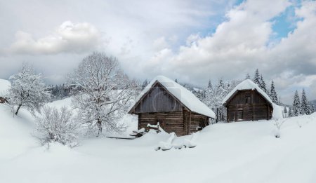 Photo for Two wooden sheds in snowdrifts on the slopes in winter Ukrainian Carpathian Mountains in cloudy weather. - Royalty Free Image