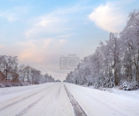Téléchargez les photos : Paysage hivernal terne avec route couverte de glace et arbres au bord de la route
. - en image libre de droit