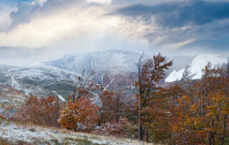 Téléchargez les photos : Octobre Carpates plateau Borghava avec première neige d'hiver et feuillage d'automne. - en image libre de droit