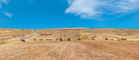 Foto de Hermoso paisaje de Sicilia campo de verano en Italia
. - Imagen libre de derechos