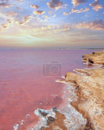 Foto de Rosa extremadamente salado Syvash Lake, coloreado por microalgas con depósitos de sal cristalina. También conocido como el Mar Pútrido o Mar Rotten. Ucrania, región de Kherson, cerca de Crimea y Arabat Spit
. - Imagen libre de derechos