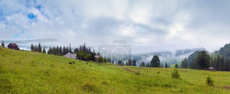 Photo for Dense fog over summer mountains. Carpathians, Ukraine. - Royalty Free Image