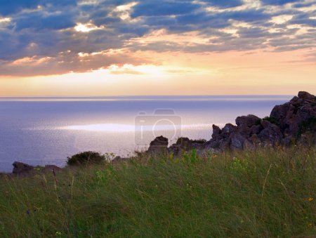 Foto de Hierbas en praderas cerca de la costa del mar mañana verano - Imagen libre de derechos