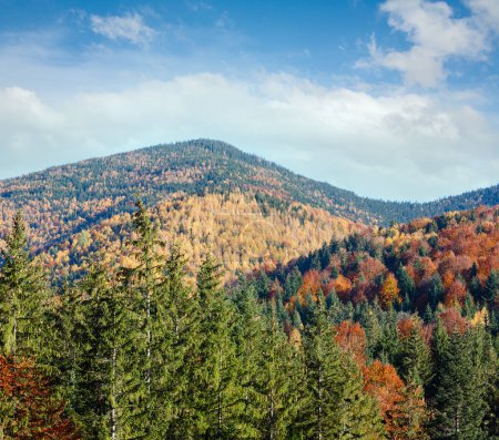 Téléchargez les photos : Paysage des Carpates d'automne (Stara Guta, oblast d'Ivano-Frankivsk, Ukraine)
). - en image libre de droit