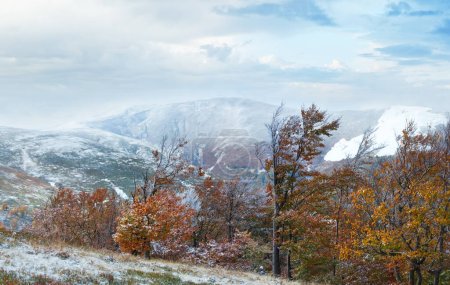 Téléchargez les photos : October Carpathian mountain Borghava plateau panorama with first winter snow and autumn foliage. - en image libre de droit