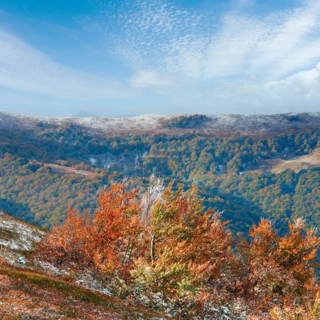 Photo for October Carpathian mountain Borghava plateau with first winter snow and autumn colourful bilberry bushes - Royalty Free Image