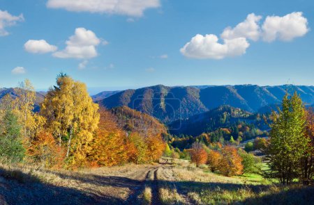 Téléchargez les photos : Panorama ensoleillé de montagne d'automne avec arbres colorés et route de campagne à flanc de montagne
. - en image libre de droit