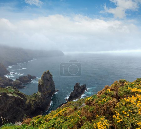 Photo for Atlantic coastline view from blossoming Cape Ortegal (Province of A Coruna, Galicia, Spain). Summer rainy weather view with flares of water drops on lens. - Royalty Free Image