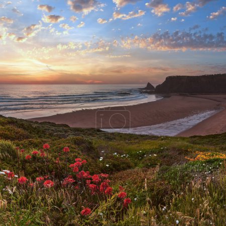 Foto de Escenario rosado del océano del atardecer con flores silvestres que florecen en verano Playa de Odeceixe (Aljezur, Algarve, Portugal). - Imagen libre de derechos