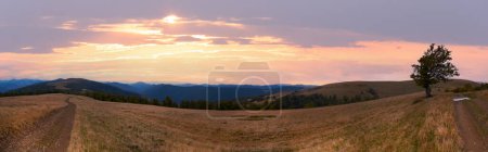 Foto de Montañas Cárpatos (Ucrania) paisaje con dos caminos rurales. - Imagen libre de derechos