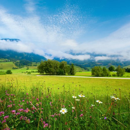 Foto de Alpes prado de montaña tranquila vista de verano - Imagen libre de derechos