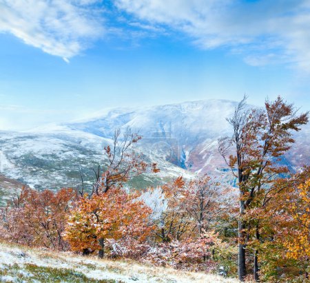 Téléchargez les photos : Octobre Carpates plateau Borghava avec première neige d'hiver et feuillage coloré d'automne - en image libre de droit
