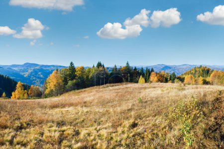Téléchargez les photos : Montagne d'automne Nimchich col panorama (Carpates, Ukraine) avec route de campagne et des arbres colorés sur la colline
. - en image libre de droit