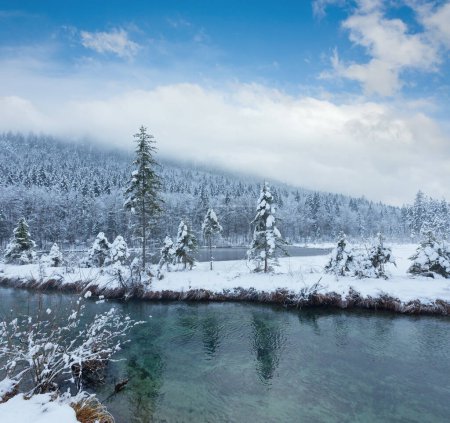 Foto de Pequeño arroyo de invierno con árboles nevados en la orilla
. - Imagen libre de derechos
