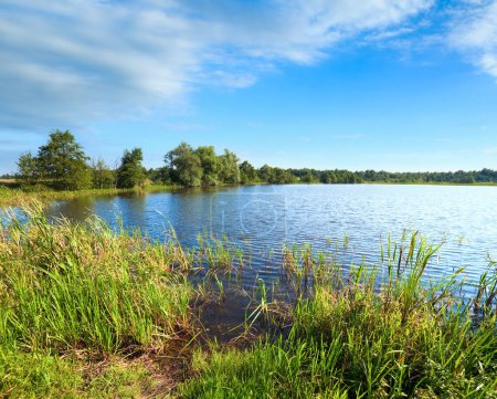 Téléchargez les photos : Été rushy vue sur le lac avec petit bosquet sur la rive opposée - en image libre de droit